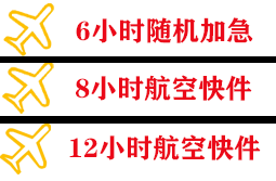 阿里昆莎空运公司快递公司,专业空运当天件
